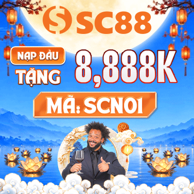 banner SC88